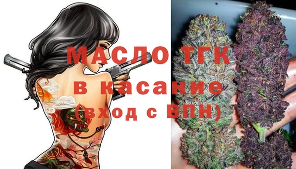 крисы Беломорск