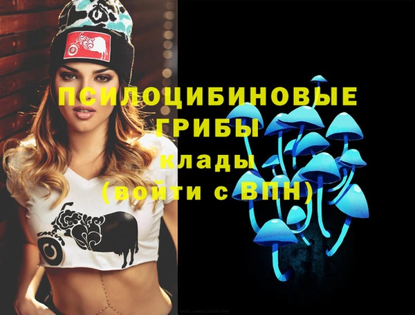 крисы Беломорск