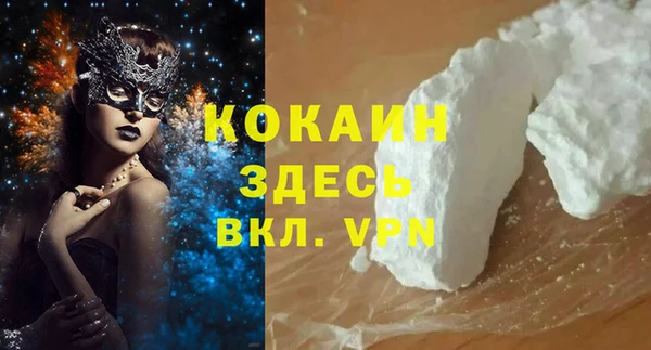 соль ск Белокуриха