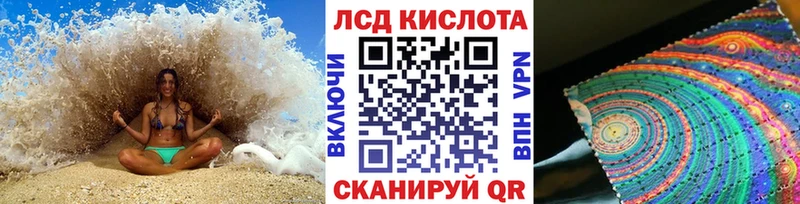 дарнет шоп  Заречный  ОМГ ОМГ ссылки  Марки 25I-NBOMe 1,8мг 
