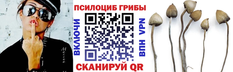 Галлюциногенные грибы Cubensis  цена   Заречный 